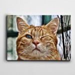 Göz Kırpan Kedi Kanvas Tablo
