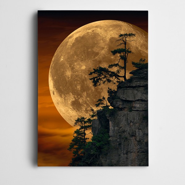 Ağaçlar ve Ay Fantastik Kanvas Tablo