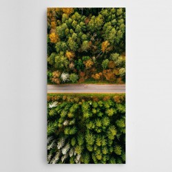 Yol Ağaçlar Panoramik Kanvas Tablo