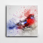 Kırmızı Kuş Boyalar Kare Kanvas Tablo