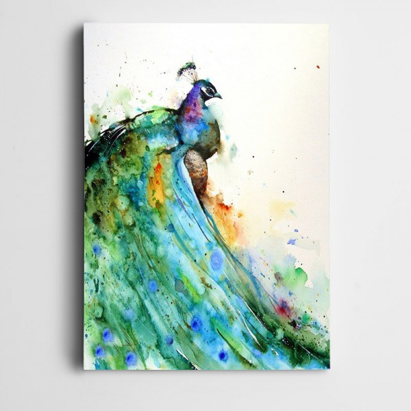 Renkli Güzel Kuş Kanvas Tablo