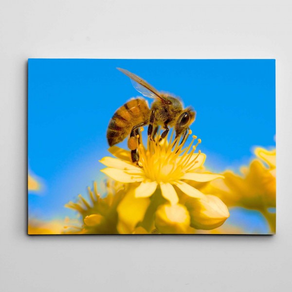 Arı ve Çiçek Kanvas Tablo