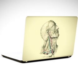 Anatomi Laptop Sticker