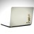 Wili E Coyote Minimal  Laptop Sticker