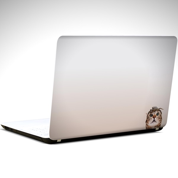 kedi-ve-yengec-minimal-laptop-sticker
