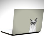 kedi-laptop-sticker